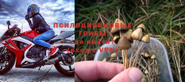 mdpv Алзамай