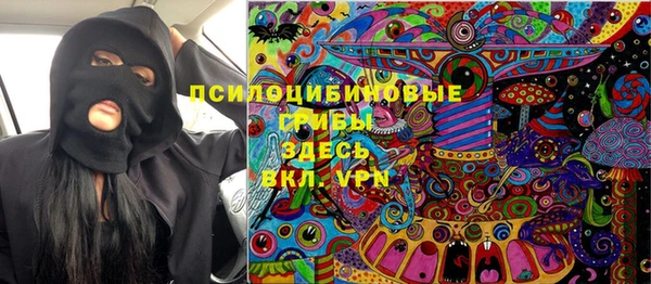 бошки Краснослободск